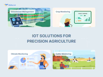 The Future of Precision Farming using IoT