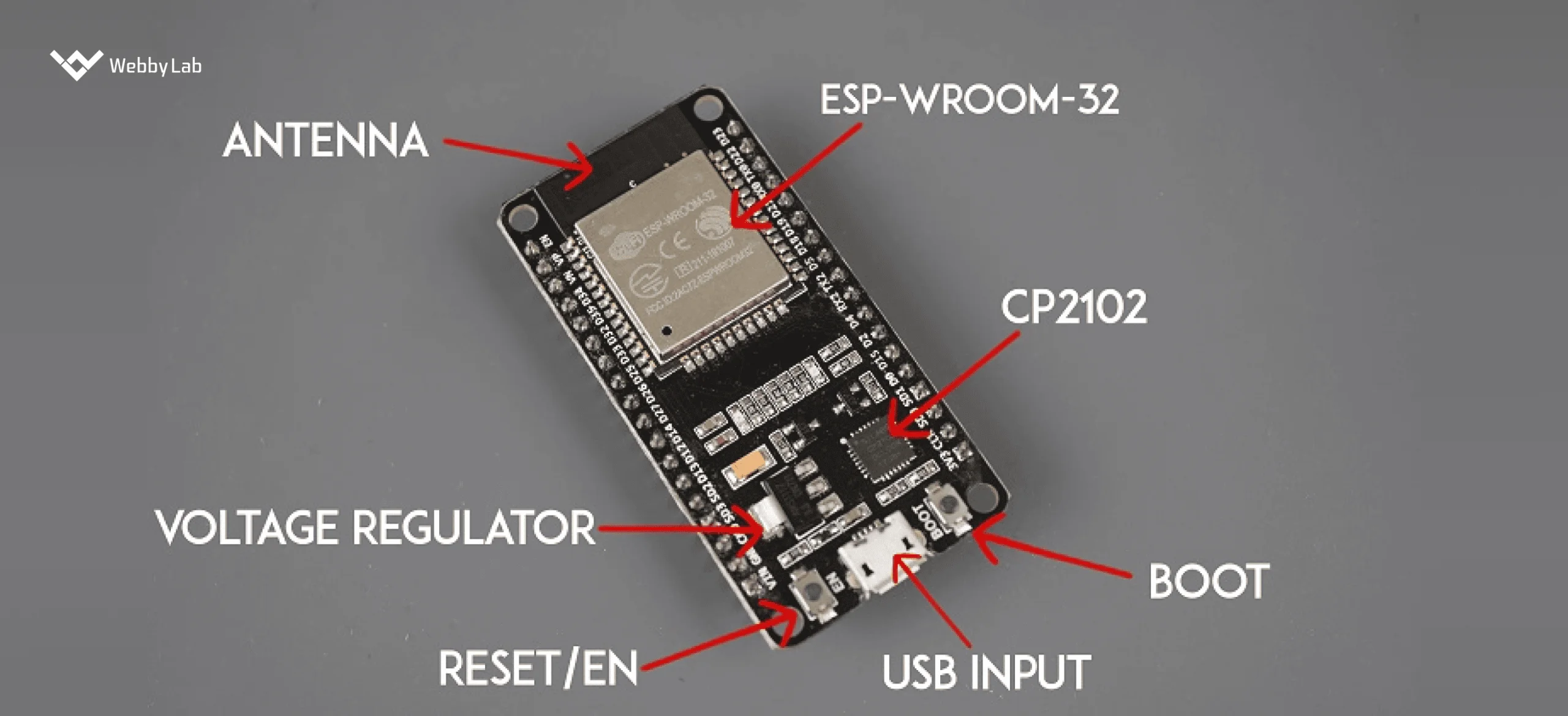  An ESP32 development board’s components explained. 