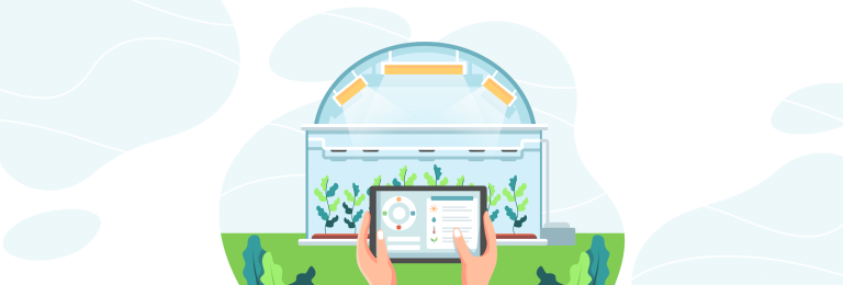 Smart Greenhouse IoT Solutions: What to Include and How to Automate