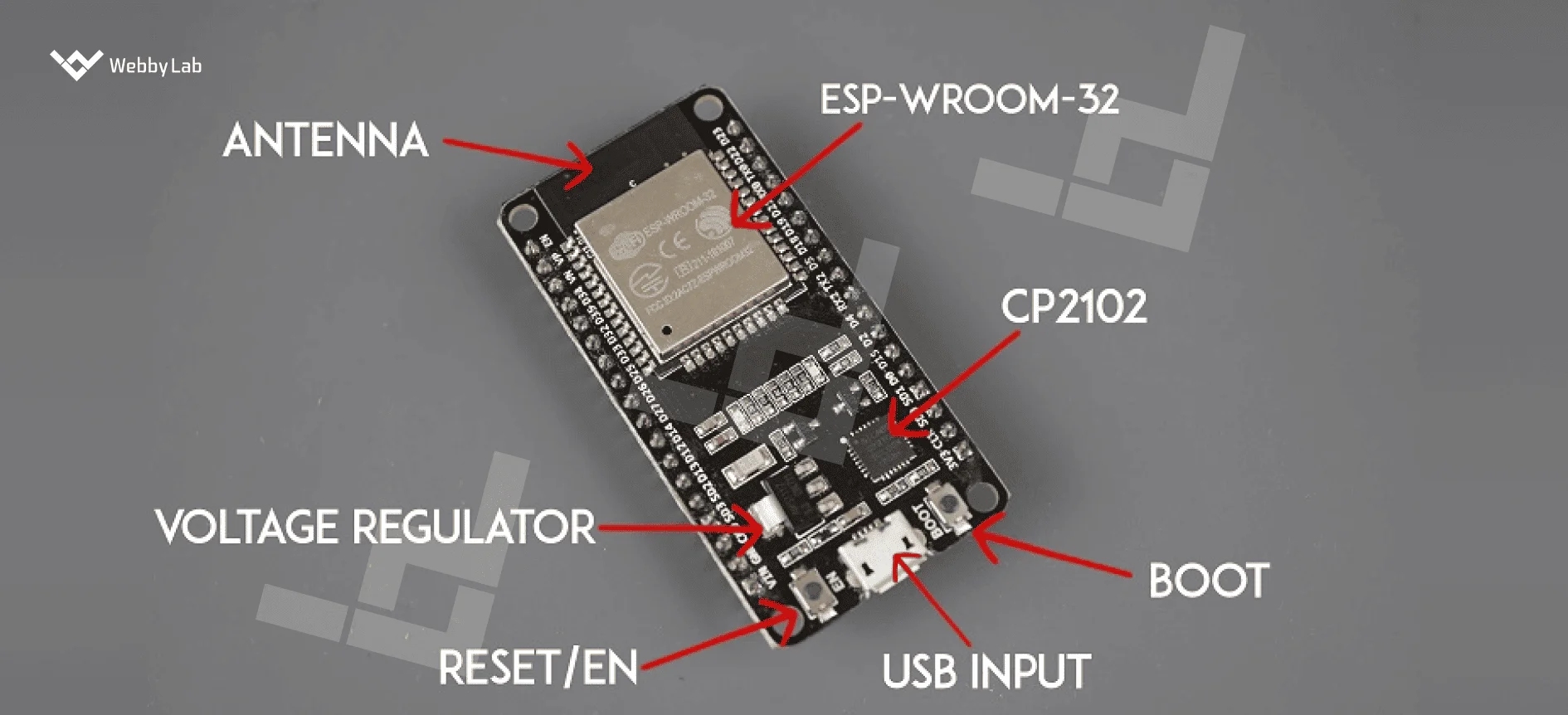 The components of an ESP32 development board